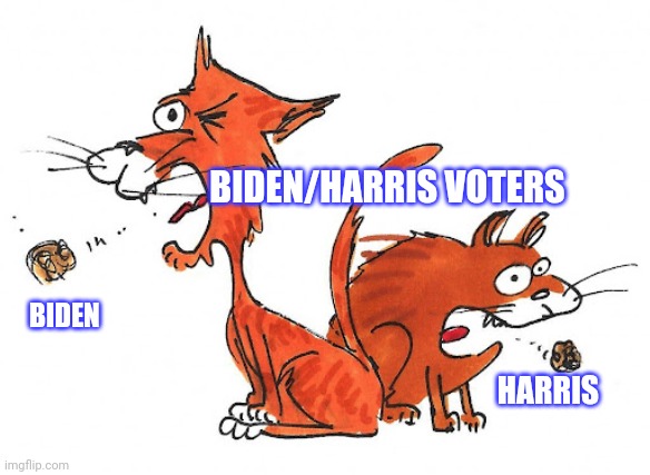 Voters vote for trash, surprised at trash results | BIDEN/HARRIS VOTERS; BIDEN; HARRIS | image tagged in biden,kamala harris,democrat | made w/ Imgflip meme maker