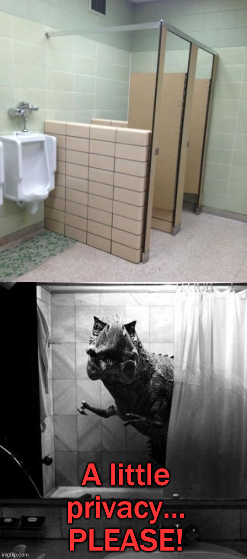 Like having a 1/2 wall cubicle | A little privacy... PLEASE! | image tagged in a little privacy please,bathroom | made w/ Imgflip meme maker