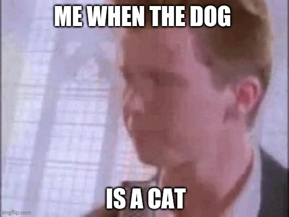 Disappointed Rick Astley | ME WHEN THE DOG; IS A CAT | image tagged in disappointed rick astley | made w/ Imgflip meme maker