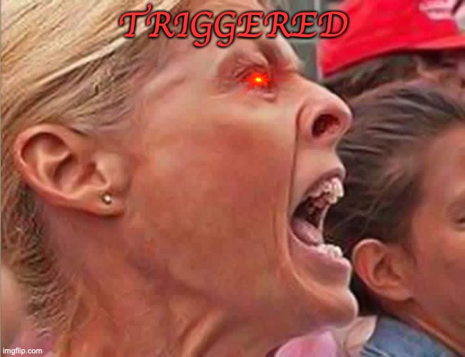 Triggered Trump Lady | TRIGGERED | image tagged in triggered trump lady | made w/ Imgflip meme maker