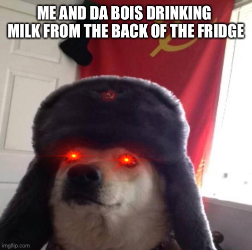 Russian Doge |  ME AND DA BOIS DRINKING 
MILK FROM THE BACK OF THE FRIDGE | image tagged in russian doge | made w/ Imgflip meme maker