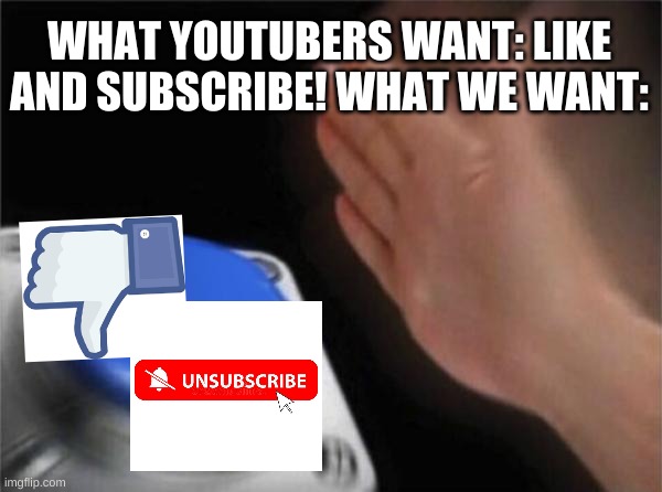Blank Nut Button Meme | WHAT YOUTUBERS WANT: LIKE AND SUBSCRIBE! WHAT WE WANT: | image tagged in memes,blank nut button | made w/ Imgflip meme maker