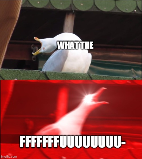 Deep Breath Seagull | WHAT THE FFFFFFFUUUUUUUU- | image tagged in deep breath seagull | made w/ Imgflip meme maker