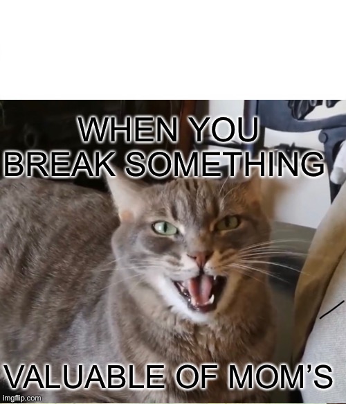WHEN YOU BREAK SOMETHING; VALUABLE OF MOM’S | image tagged in angry cat | made w/ Imgflip meme maker