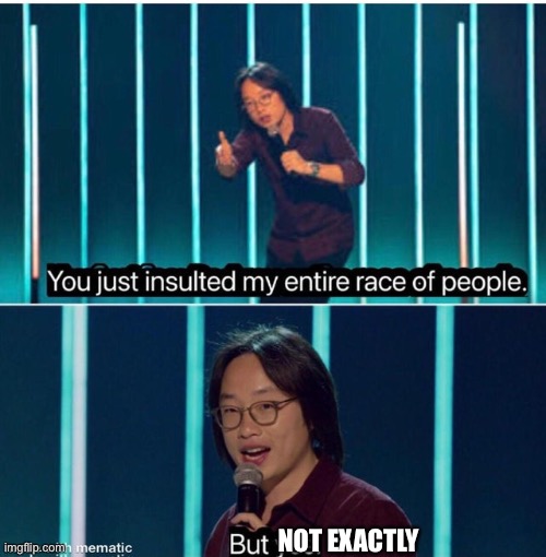 You just insulted my entire race of people | NOT EXACTLY | image tagged in you just insulted my entire race of people | made w/ Imgflip meme maker