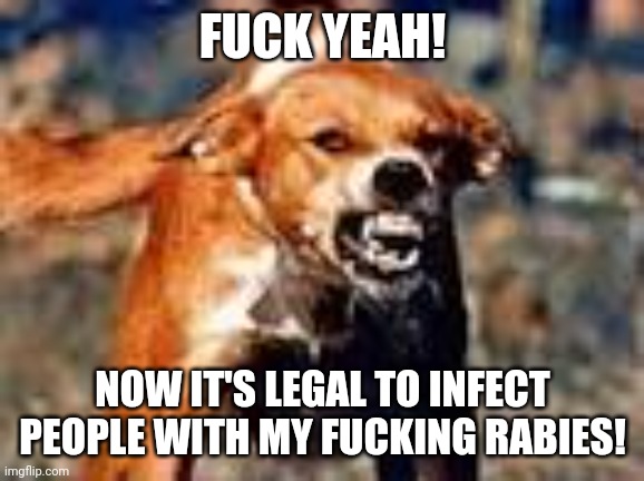 rabid dog | FUCK YEAH! NOW IT'S LEGAL TO INFECT PEOPLE WITH MY FUCKING RABIES! | image tagged in rabid dog | made w/ Imgflip meme maker