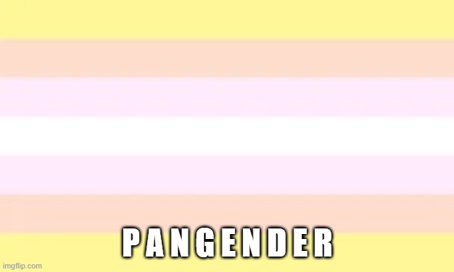 P A N G E N D E R | image tagged in pangender flag | made w/ Imgflip meme maker