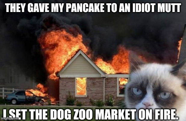 Burn Kitty Meme | THEY GAVE MY PANCAKE TO AN IDIOT MUTT I SET THE DOG ZOO MARKET ON FIRE. | image tagged in memes,burn kitty,grumpy cat | made w/ Imgflip meme maker