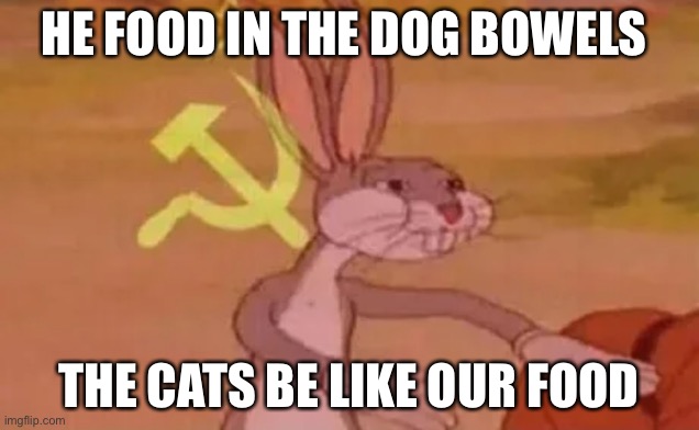 Bugs bunny communist | HE FOOD IN THE DOG BOWELS; THE CATS BE LIKE OUR FOOD | image tagged in bugs bunny communist | made w/ Imgflip meme maker