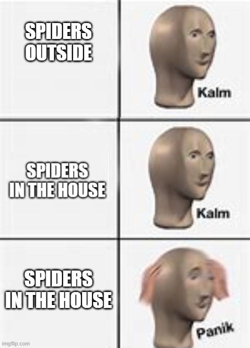 oh no |  SPIDERS OUTSIDE; SPIDERS IN THE HOUSE | image tagged in spider,horror,scary,oh no,arachnophobia | made w/ Imgflip meme maker