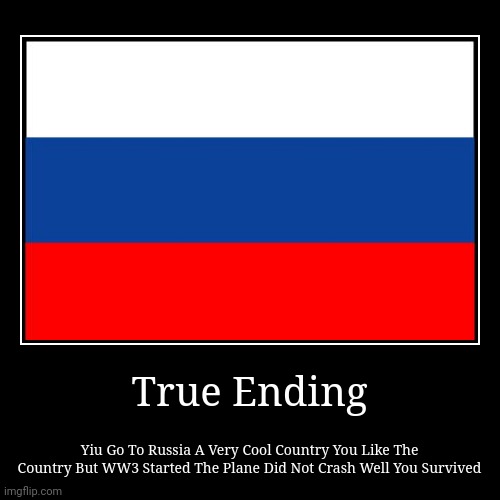 True Ending (Request For Endings) | True Ending | Yiu Go To Russia A Very Cool Country You Like The Country But WW3 Started The Plane Did Not Crash Well You Survived | image tagged in funny,demotivationals | made w/ Imgflip demotivational maker