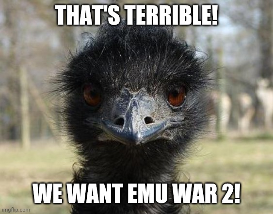 Bad News Emu | THAT'S TERRIBLE! WE WANT EMU WAR 2! | image tagged in bad news emu | made w/ Imgflip meme maker