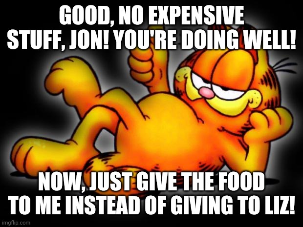 garfield thumbs up | GOOD, NO EXPENSIVE STUFF, JON! YOU'RE DOING WELL! NOW, JUST GIVE THE FOOD TO ME INSTEAD OF GIVING TO LIZ! | image tagged in garfield thumbs up | made w/ Imgflip meme maker