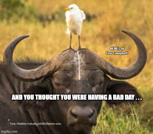 bad day | MEMEs by Dan Campbell; AND YOU THOUGHT YOU WERE HAVING A BAD DAY . . . | image tagged in bad day | made w/ Imgflip meme maker