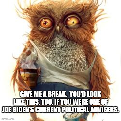 A job to be wished on nobody. | GIVE ME A BREAK.  YOU'D LOOK LIKE THIS, TOO, IF YOU WERE ONE OF JOE BIDEN'S CURRENT POLITICAL ADVISERS. | image tagged in frazzled,joe biden | made w/ Imgflip meme maker