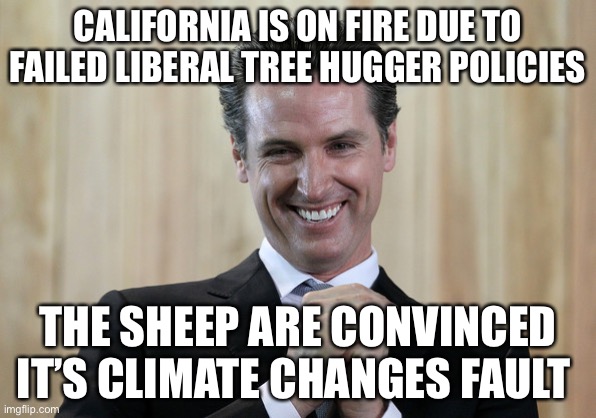 Forest mismanagement | CALIFORNIA IS ON FIRE DUE TO FAILED LIBERAL TREE HUGGER POLICIES; THE SHEEP ARE CONVINCED IT’S CLIMATE CHANGES FAULT | image tagged in scheming gavin newsom | made w/ Imgflip meme maker