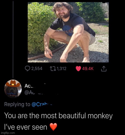 LOL | image tagged in insults,funny,monkeys,roastid | made w/ Imgflip meme maker