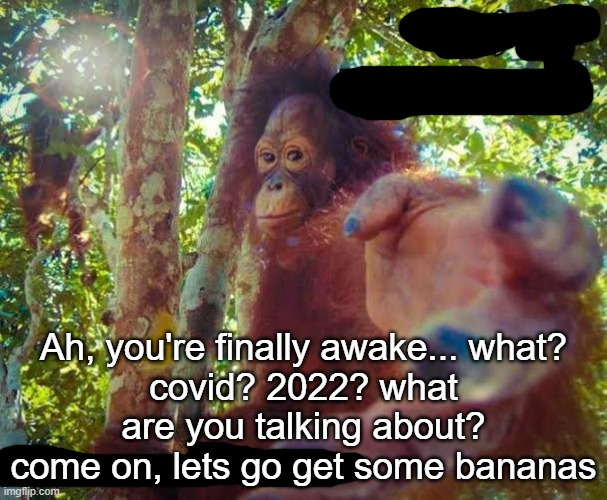 Return to monke | Ah, you're finally awake... what?
covid? 2022? what are you talking about? come on, lets go get some bananas | image tagged in return to monke | made w/ Imgflip meme maker
