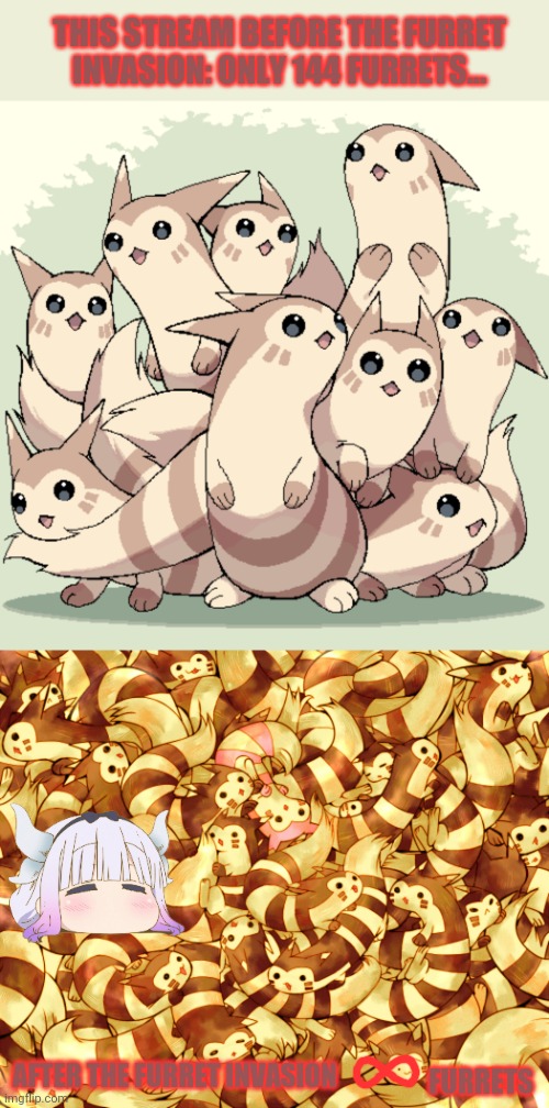 Furret invasion! | THIS STREAM BEFORE THE FURRET INVASION: ONLY 144 FURRETS... AFTER THE FURRET INVASION; FURRETS | image tagged in furret,pokemon,cute animals,anime,but why why would you do that | made w/ Imgflip meme maker