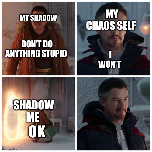 What is going though my mind when I have to make a decision | MY CHAOS SELF; MY SHADOW; DON’T DO ANYTHING STUPID; I WON’T; SHADOW ME; OK | image tagged in fine i won't | made w/ Imgflip meme maker