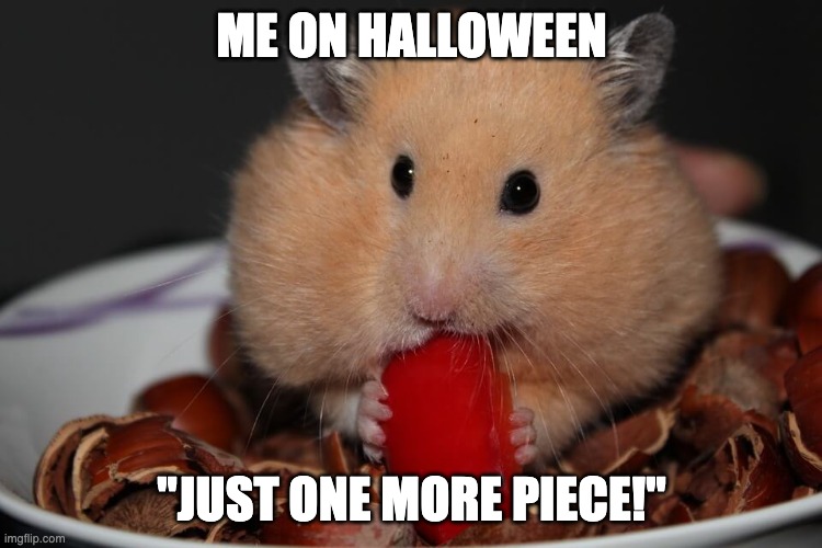 Hamster Halloween | ME ON HALLOWEEN; "JUST ONE MORE PIECE!" | image tagged in hamster weekend | made w/ Imgflip meme maker