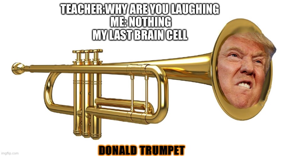 Idk if this repost | TEACHER:WHY ARE YOU LAUGHING 
ME: NOTHING
MY LAST BRAIN CELL; DONALD TRUMPET | image tagged in donald trumpet | made w/ Imgflip meme maker