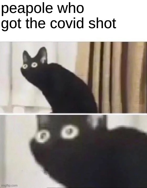 Oh No Black Cat | peapole who got the covid shot | image tagged in oh no black cat | made w/ Imgflip meme maker