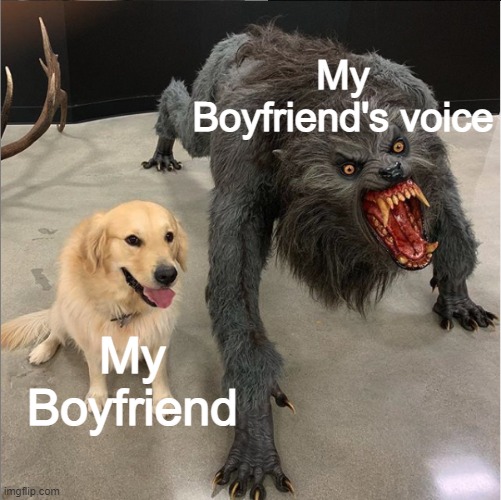 Only the truth | My Boyfriend's voice; My Boyfriend | image tagged in dog vs werewolf | made w/ Imgflip meme maker