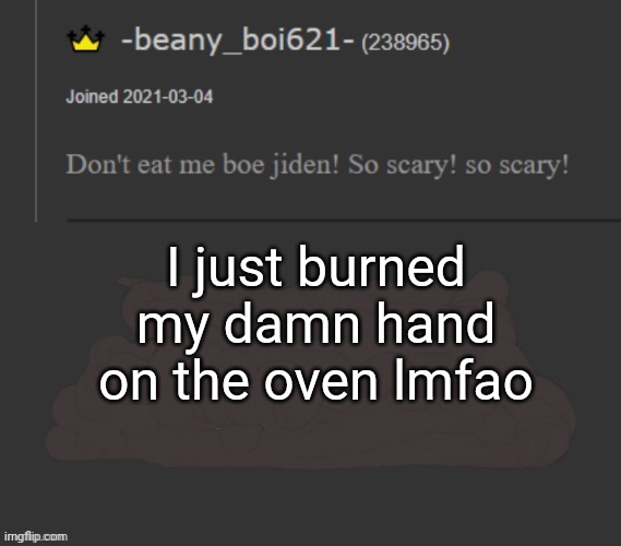 beany | I just burned my damn hand on the oven lmfao | image tagged in beany | made w/ Imgflip meme maker