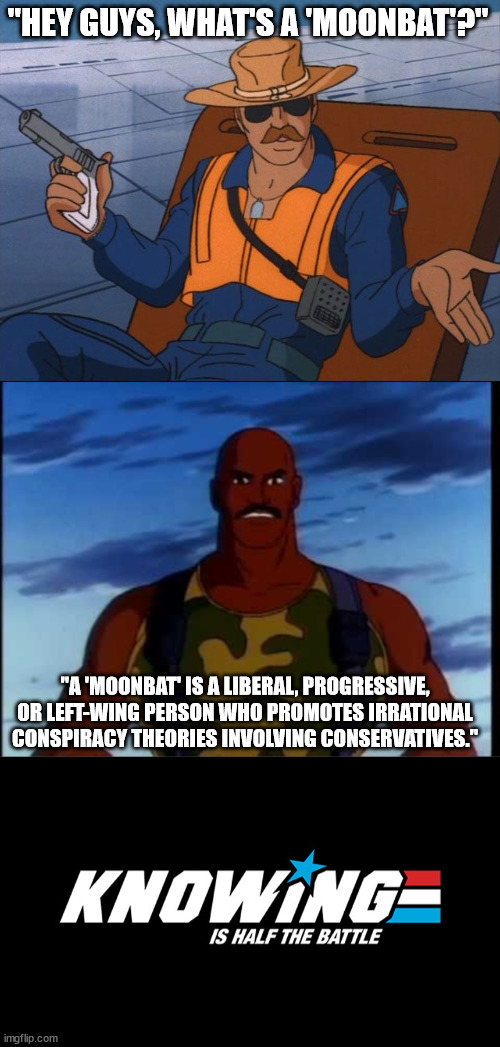 "HEY GUYS, WHAT'S A 'MOONBAT'?" "A 'MOONBAT' IS A LIBERAL, PROGRESSIVE, OR LEFT-WING PERSON WHO PROMOTES IRRATIONAL CONSPIRACY THEORIES INVO | image tagged in whatever | made w/ Imgflip meme maker