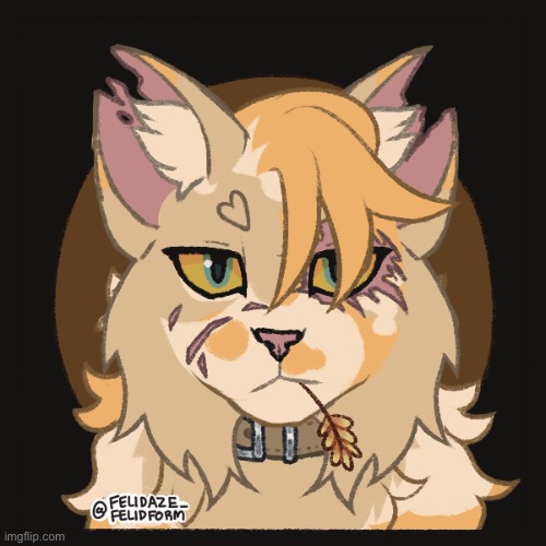 Can be found in the picrew library | made w/ Imgflip meme maker