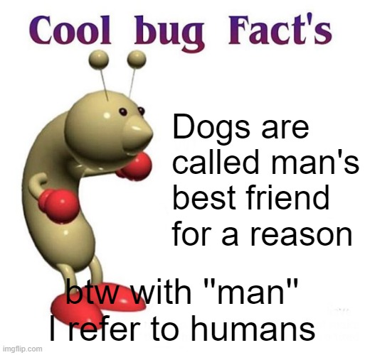 Cool Bug Facts Api | Dogs are called man's best friend for a reason; btw with ''man'' I refer to humans | image tagged in cool bug facts api,dogs | made w/ Imgflip meme maker