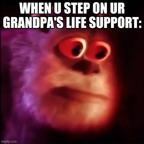 he's in a better place now | WHEN U STEP ON UR GRANDPA'S LIFE SUPPORT: | image tagged in monster inc | made w/ Imgflip meme maker