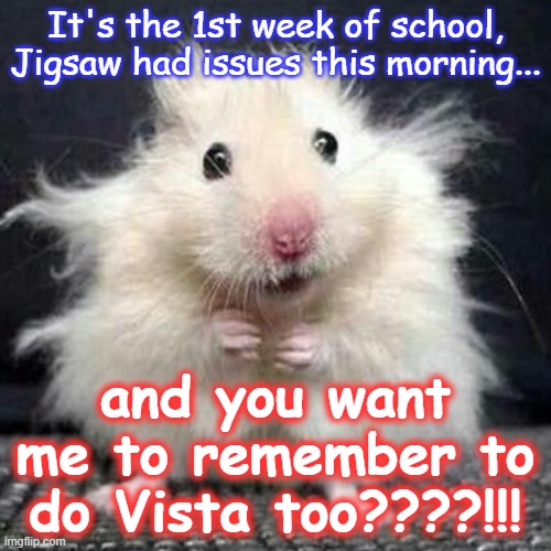 Stressed Mouse | It's the 1st week of school, Jigsaw had issues this morning... and you want me to remember to do Vista too????!!! | image tagged in stressed mouse | made w/ Imgflip meme maker