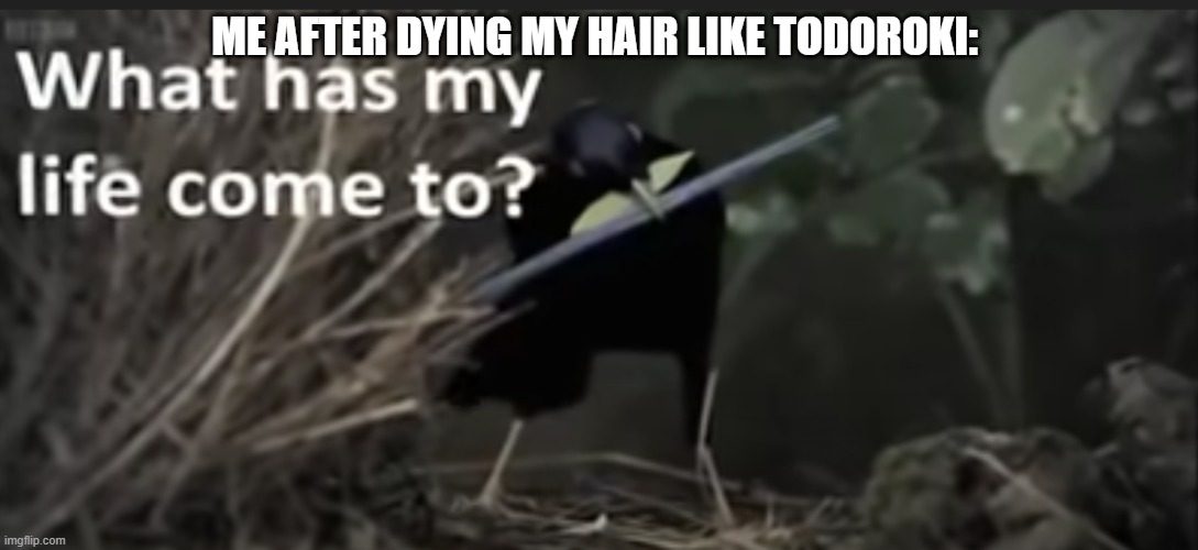 It's beautiful and no one can tell me differently | ME AFTER DYING MY HAIR LIKE TODOROKI: | image tagged in what has my life come to | made w/ Imgflip meme maker