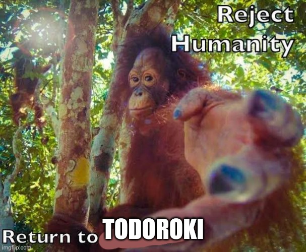 Return to monke | TODOROKI | image tagged in return to monke | made w/ Imgflip meme maker