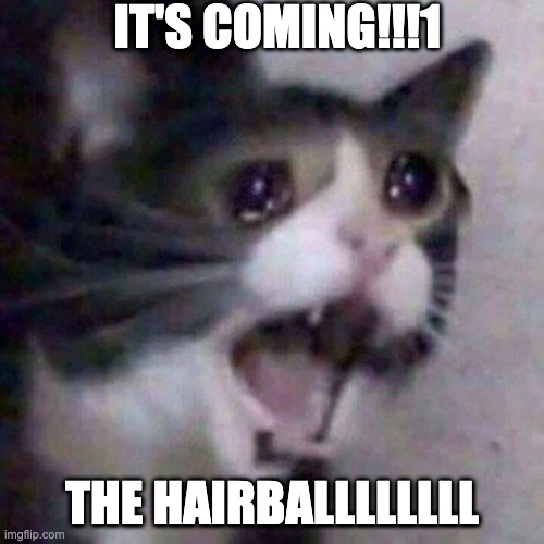 Screaming Cat meme | IT'S COMING!!!1; THE HAIRBALLLLLLLL | image tagged in screaming cat meme | made w/ Imgflip meme maker