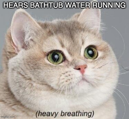 Heavy Breathing Cat | HEARS BATHTUB WATER RUNNING | image tagged in memes,heavy breathing cat | made w/ Imgflip meme maker