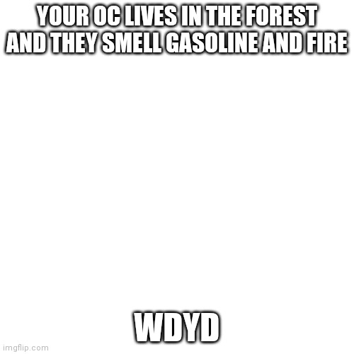 Blank Transparent Square Meme | YOUR OC LIVES IN THE FOREST AND THEY SMELL GASOLINE AND FIRE; WDYD | image tagged in memes,blank transparent square | made w/ Imgflip meme maker