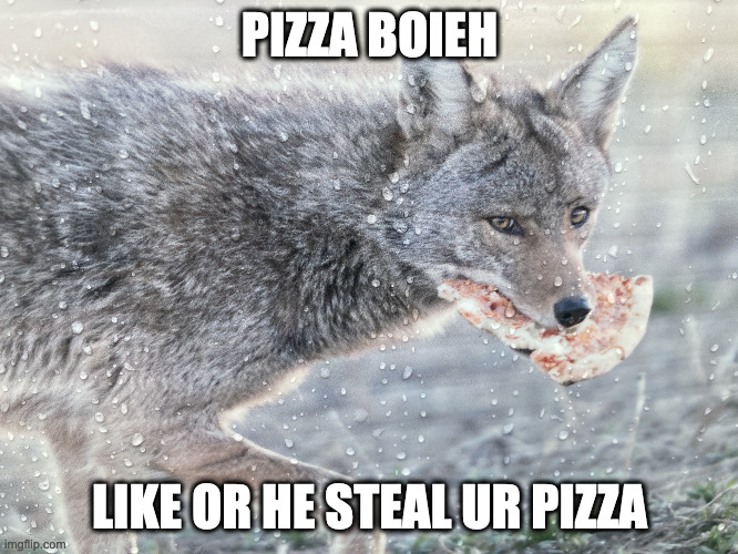 pizza boieh | PIZZA BOIEH; LIKE OR HE STEAL UR PIZZA | image tagged in pizzah | made w/ Imgflip meme maker