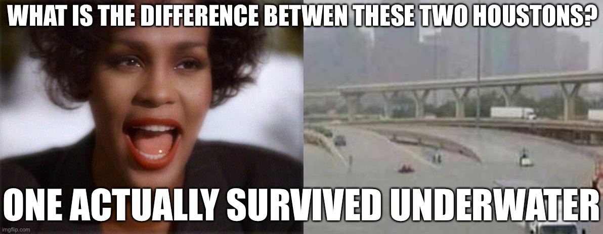 this is messed up ngl | WHAT IS THE DIFFERENCE BETWEN THESE TWO HOUSTONS? ONE ACTUALLY SURVIVED UNDERWATER | image tagged in whitney houston i will always love you,funny,whitney houston,hurricane harvey,wtf,dark humor | made w/ Imgflip meme maker