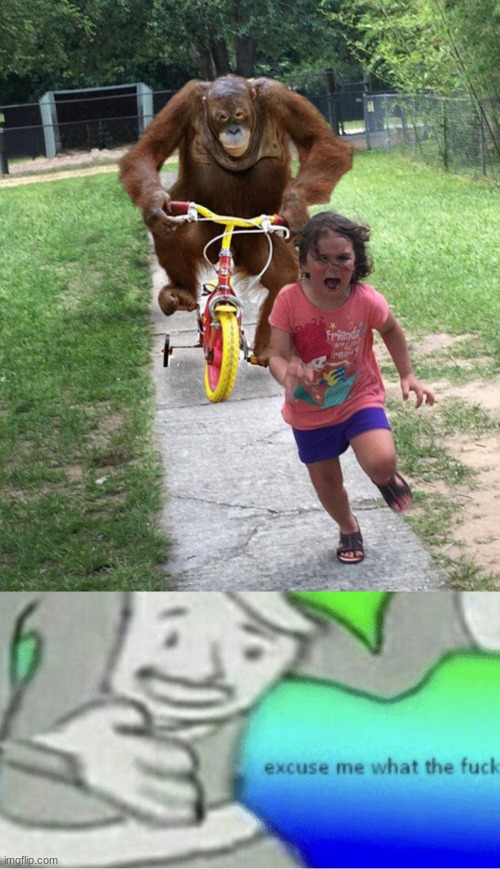 why tho | image tagged in orangutan chasing girl on a tricycle,excuse me wtf blank template | made w/ Imgflip meme maker