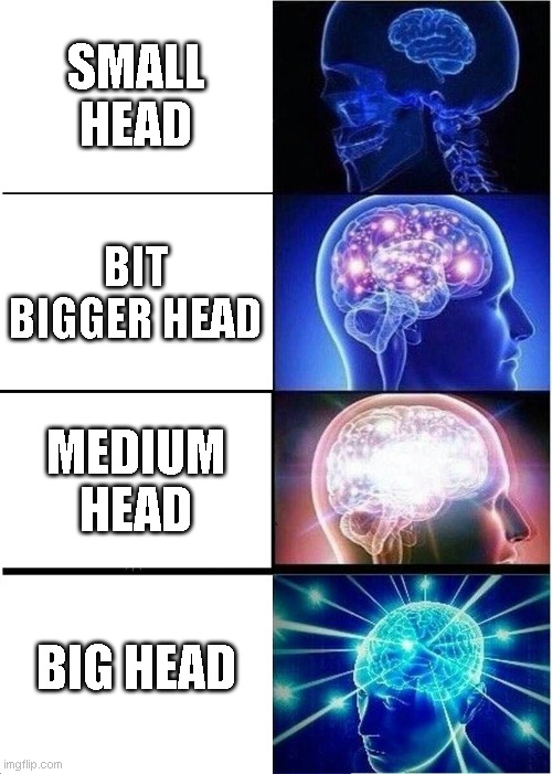 Expanding Brain | SMALL HEAD; BIT BIGGER HEAD; MEDIUM HEAD; BIG HEAD | image tagged in memes,expanding brain | made w/ Imgflip meme maker