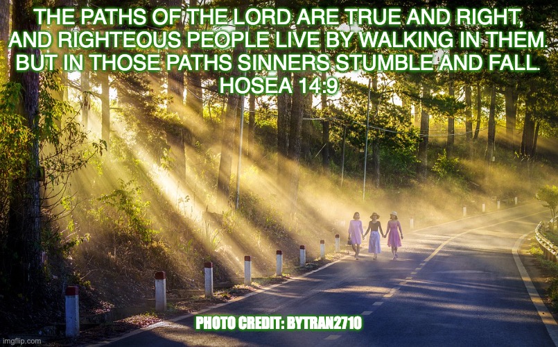 Focused on Jesus | THE PATHS OF THE LORD ARE TRUE AND RIGHT,
AND RIGHTEOUS PEOPLE LIVE BY WALKING IN THEM.
BUT IN THOSE PATHS SINNERS STUMBLE AND FALL.
HOSEA 14:9; PHOTO CREDIT: BYTRAN2710 | image tagged in god first | made w/ Imgflip meme maker