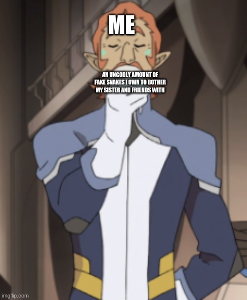 ME; AN UNGODLY AMOUNT OF FAKE SNAKES I OWN TO BOTHER MY SISTER AND FRIENDS WITH | image tagged in voltron,memes | made w/ Imgflip meme maker