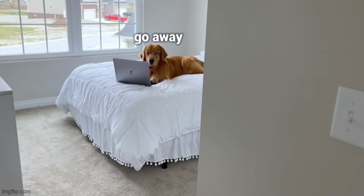 no | made w/ Imgflip meme maker