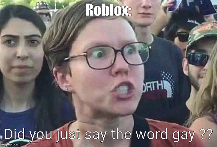 Triggered Liberal | Roblox: Did you just say the word gay ?? | image tagged in triggered liberal | made w/ Imgflip meme maker