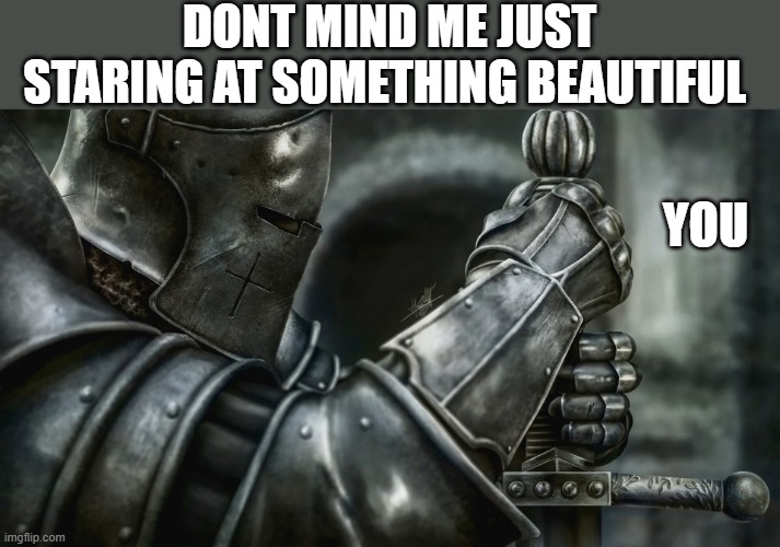 more fax | DONT MIND ME JUST STARING AT SOMETHING BEAUTIFUL; YOU | image tagged in crusader battle ready | made w/ Imgflip meme maker