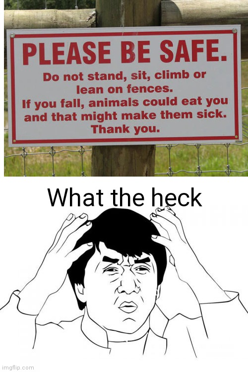 What the heck? | What the heck | image tagged in memes,funny,funny memes,oh wow are you actually reading these tags,wth,jackie chan wtf | made w/ Imgflip meme maker