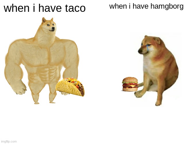 taco superior to hamgborg | when i have taco; when i have hamgborg | image tagged in memes,buff doge vs cheems,taco | made w/ Imgflip meme maker
